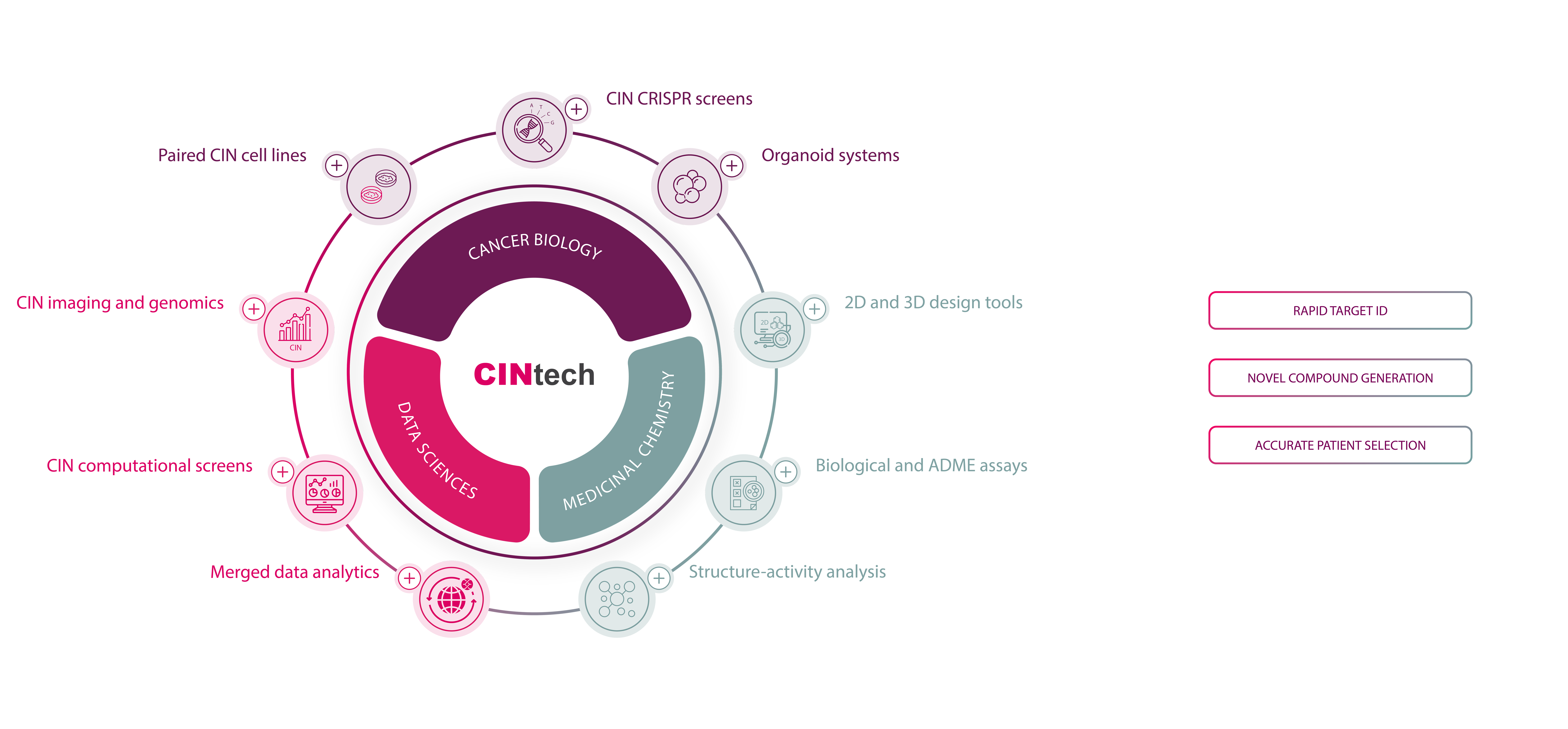 Interactive Graphic