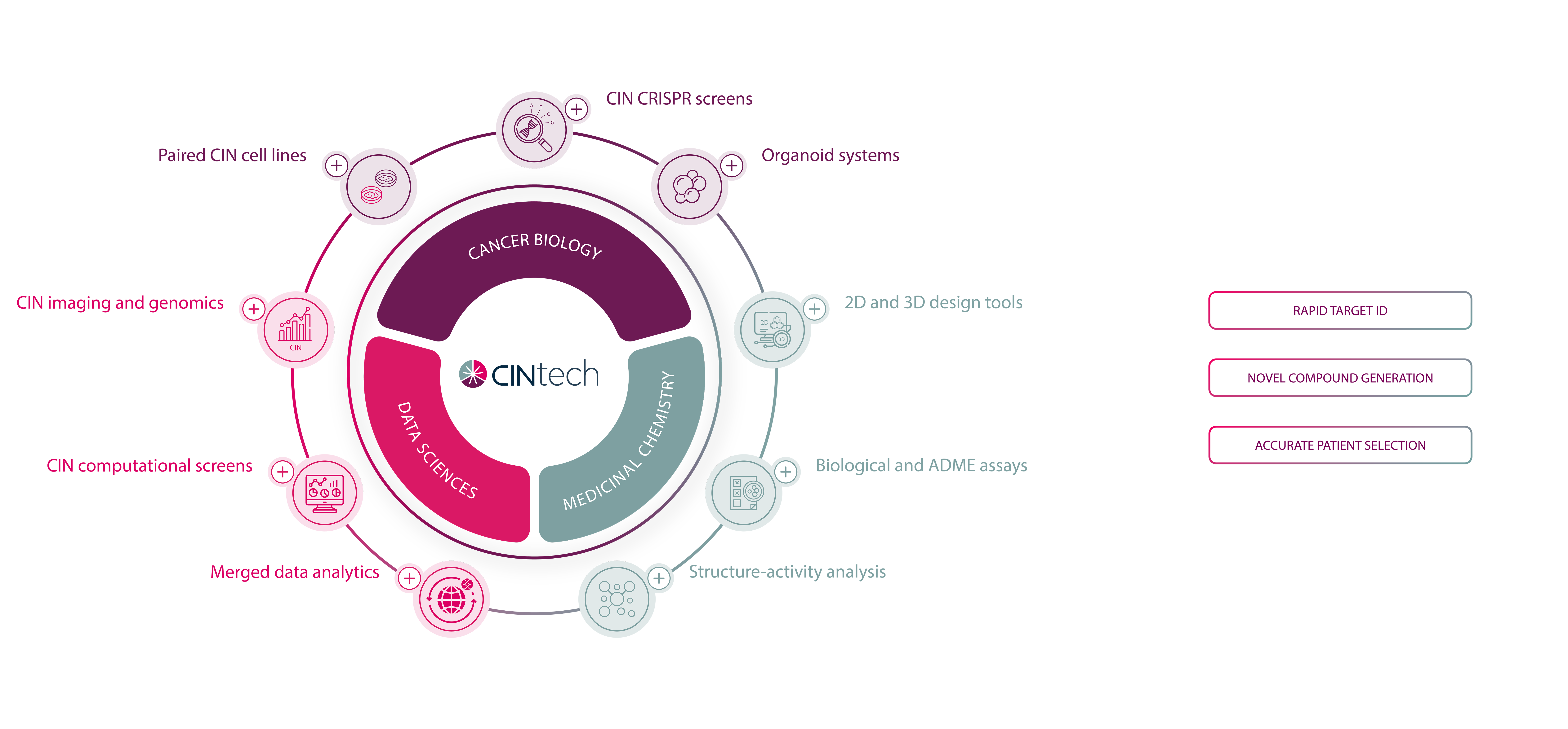 Interactive Graphic